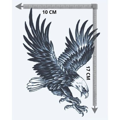 Aigle à tête blanche