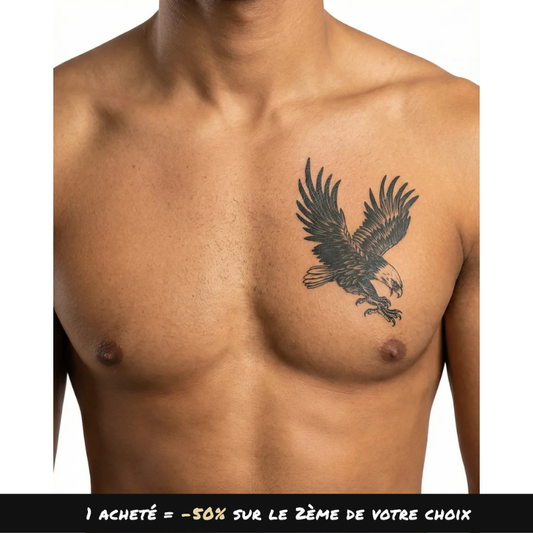 Aigle à tête blanche